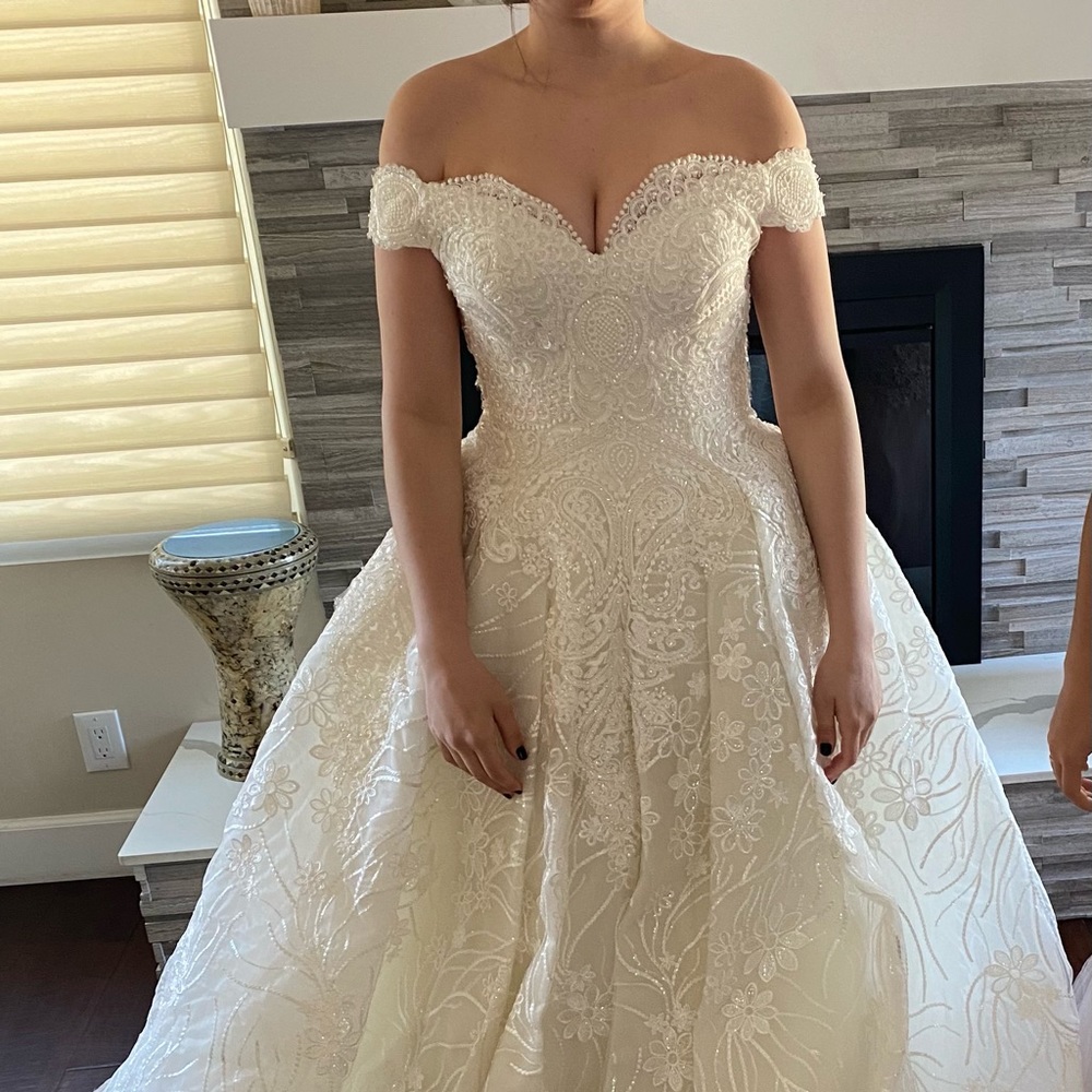Gorgeous Wedding dress - Picture 6 of 16